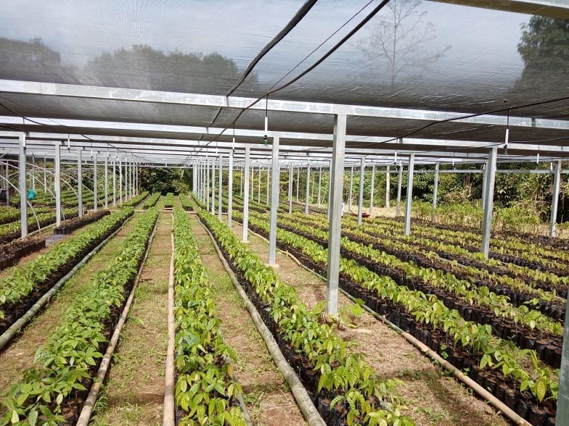 PRODUCTORAS